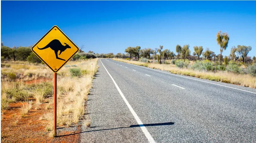 Artificial Intelligence is accelerating: Acquisitions, innovations, and warnings in an hour.