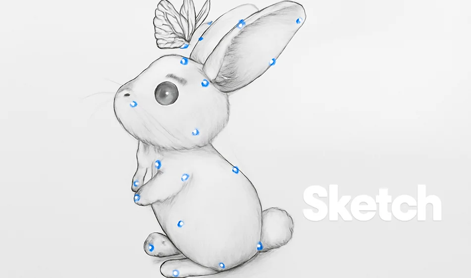 Animate Sketch - Sketch.metademolab.com