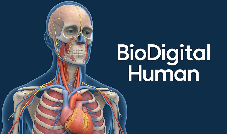 🩺 BioDigital Human - an interactive 3D model of the human body
