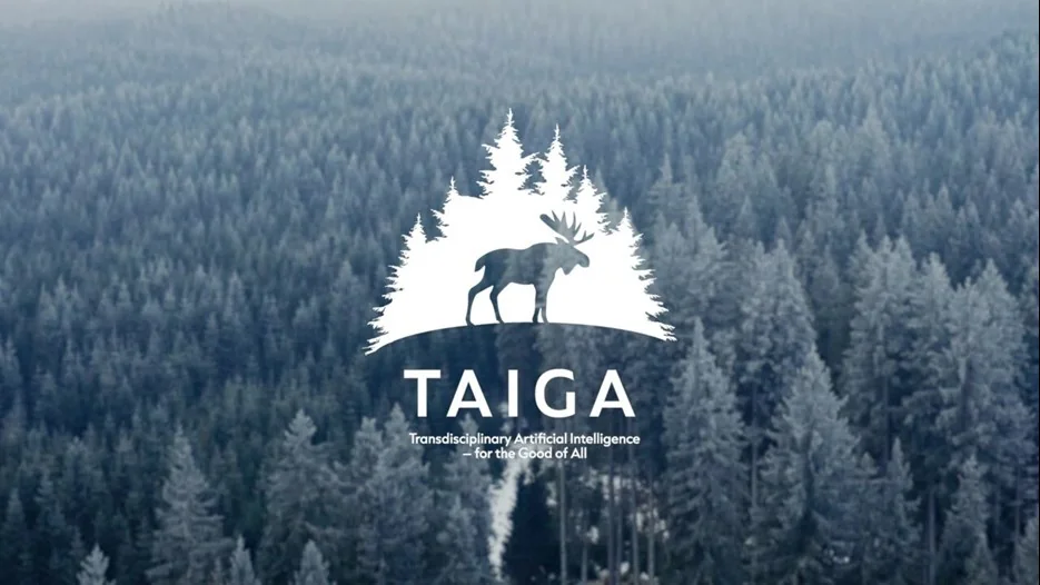 Taiga