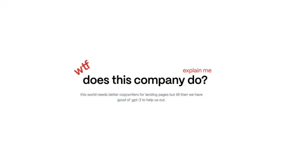 WTF Does This Company Do?