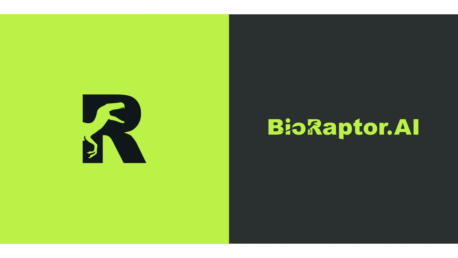 BioRaptor0