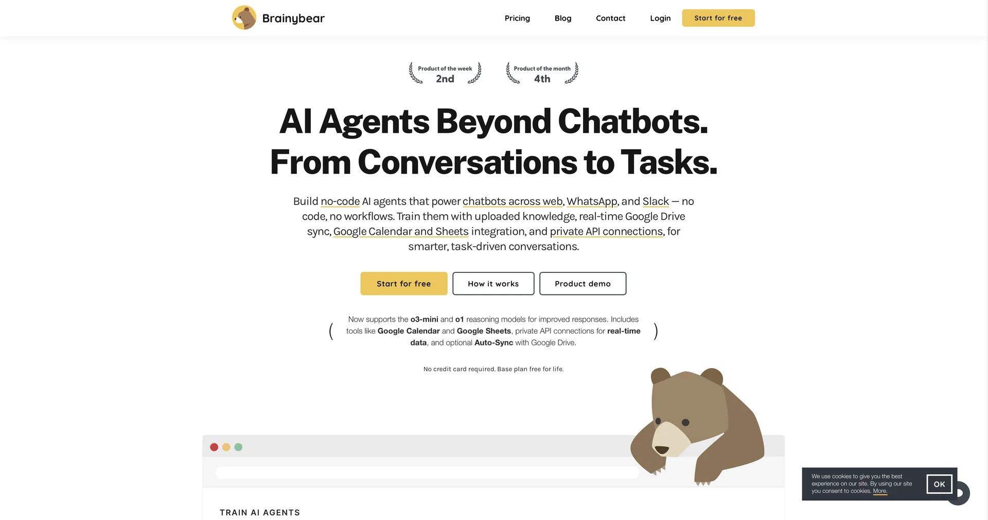 BrainyBear