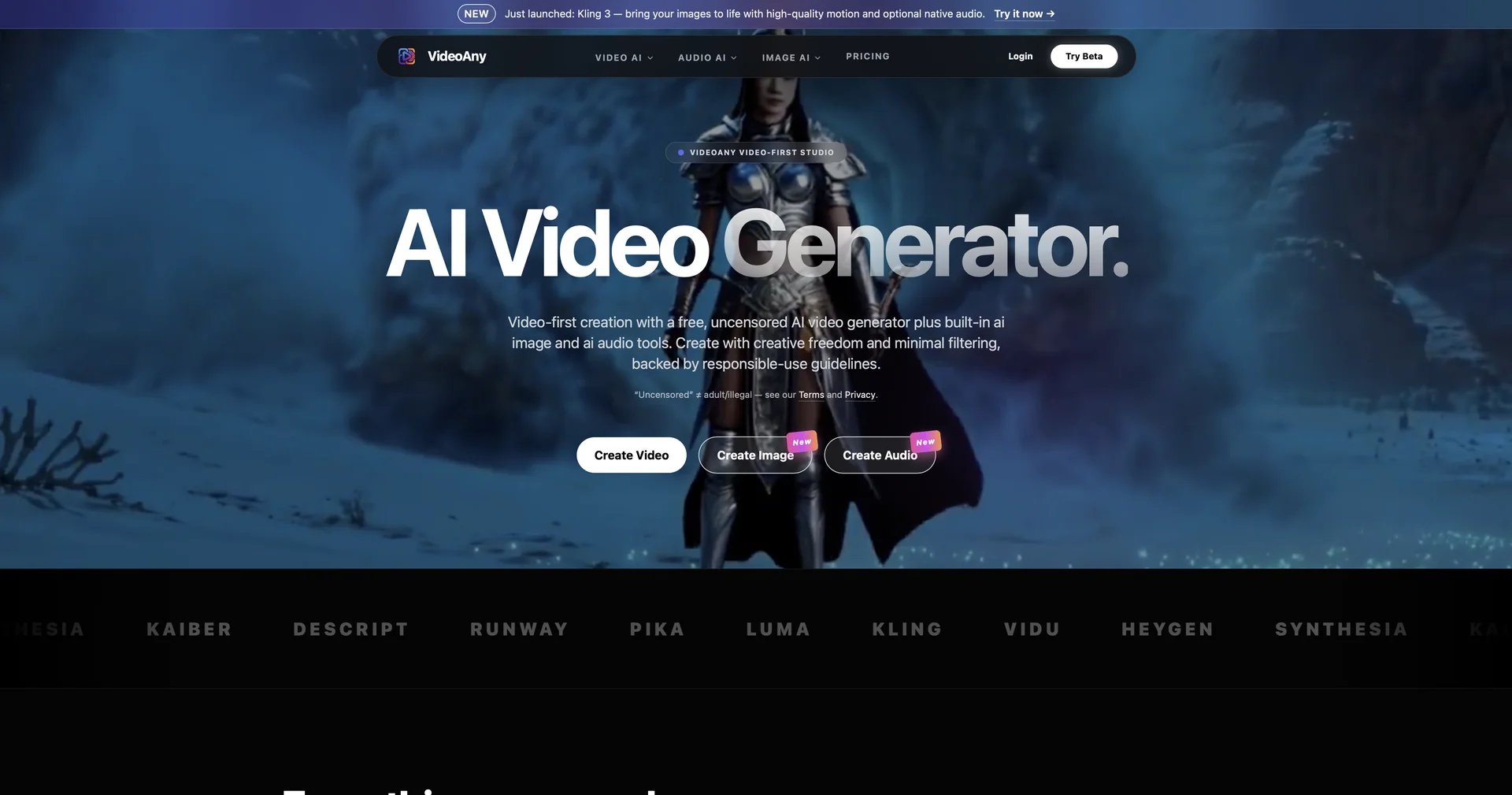 VideoAny
