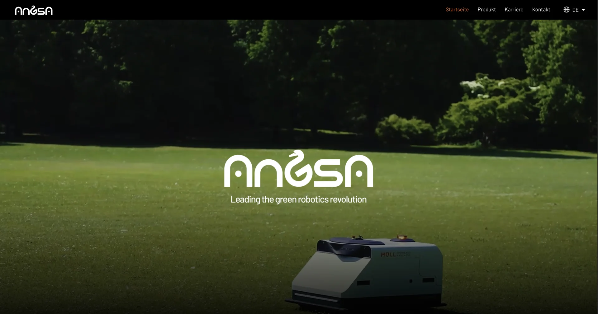 Angsa Robot