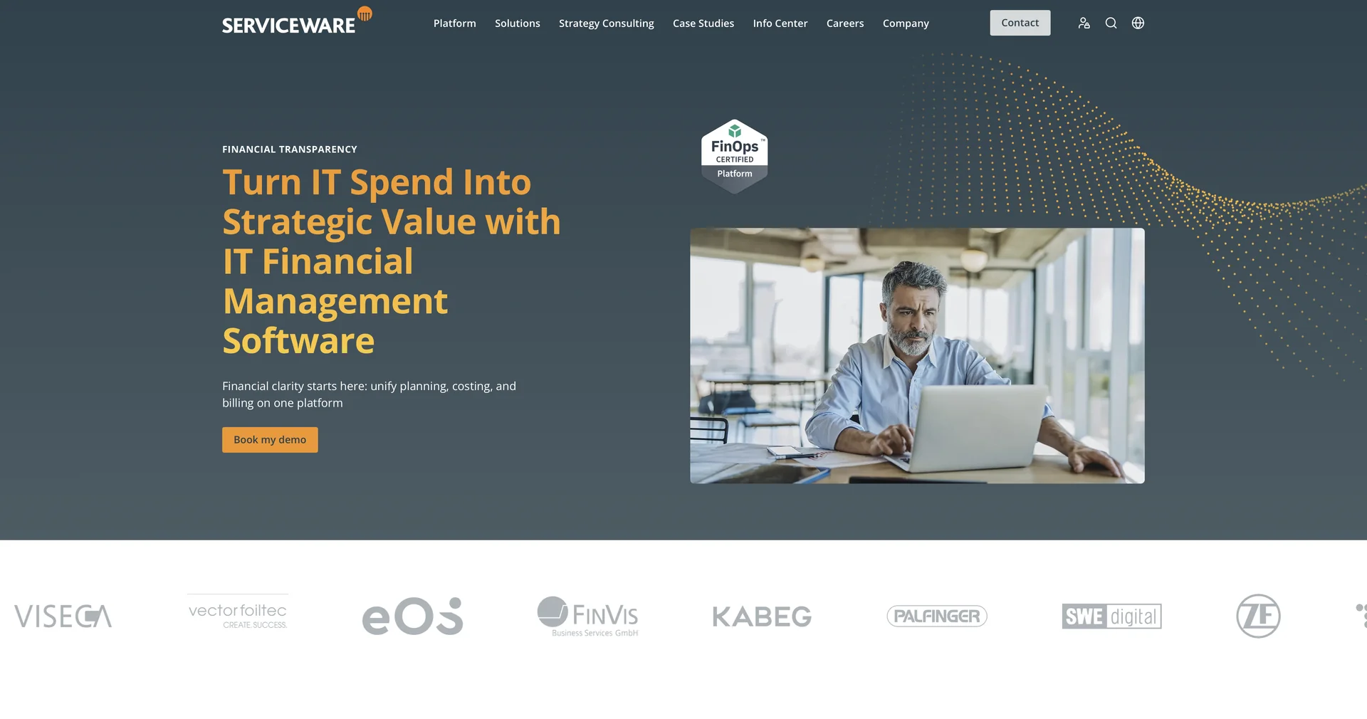 Serviceware ITFM