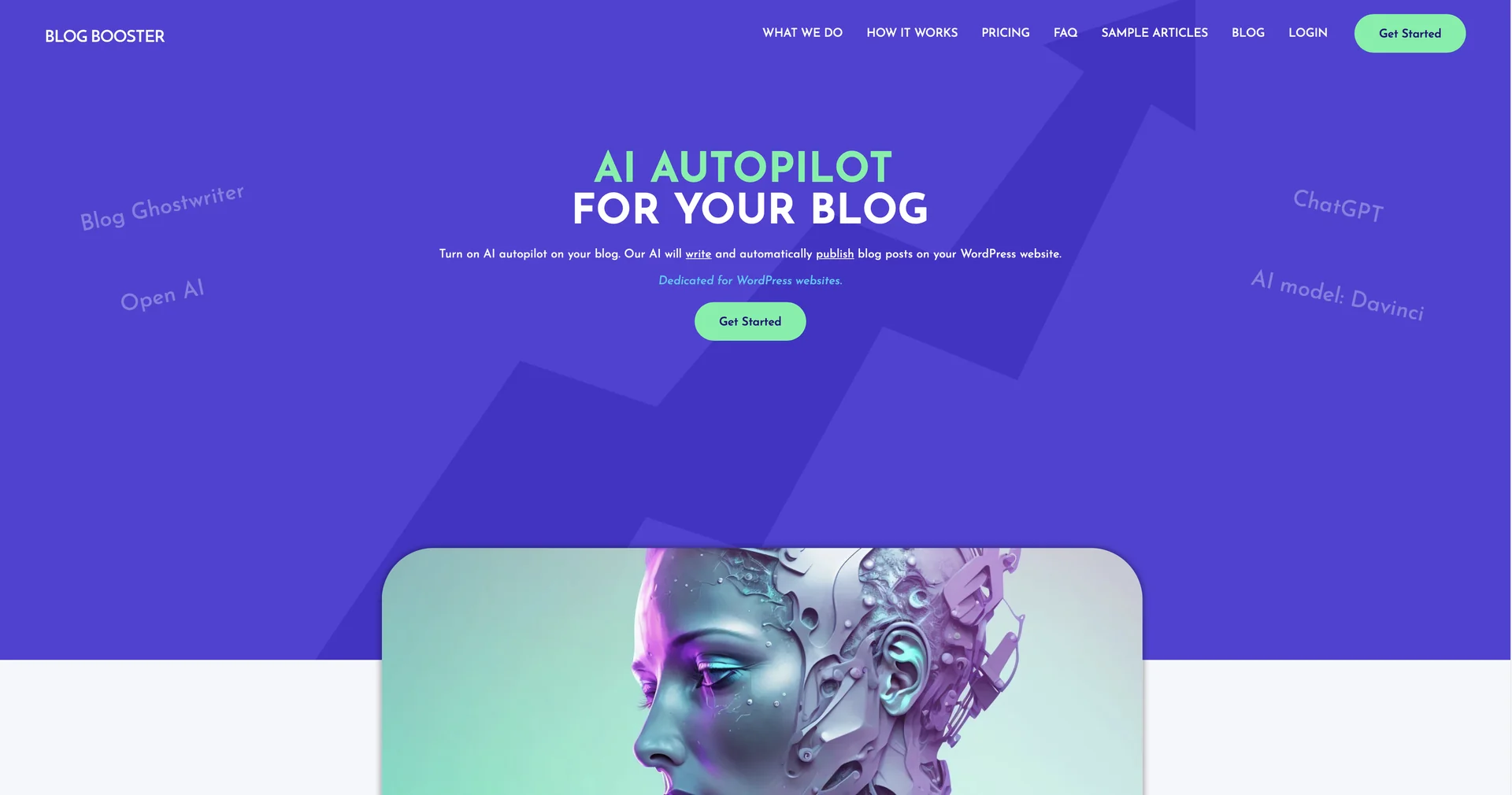 BlogBooster