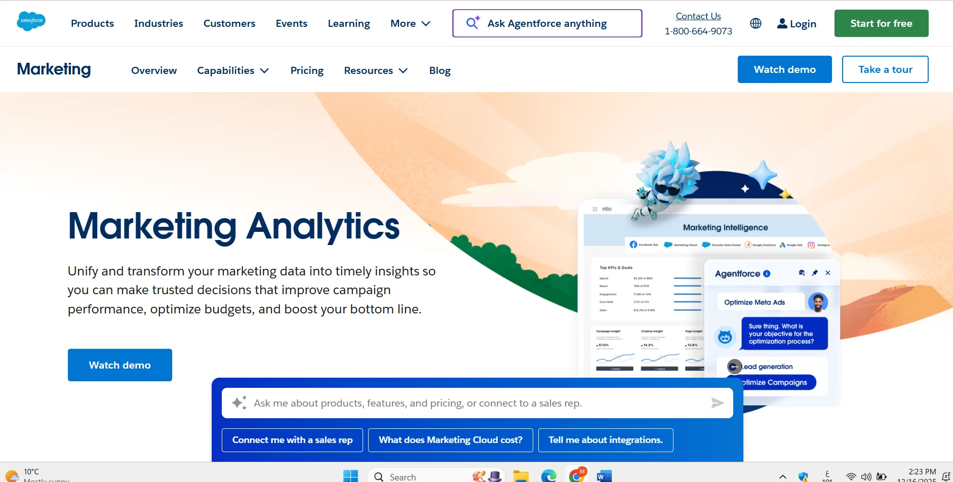 Salesforce Marketing Analytics