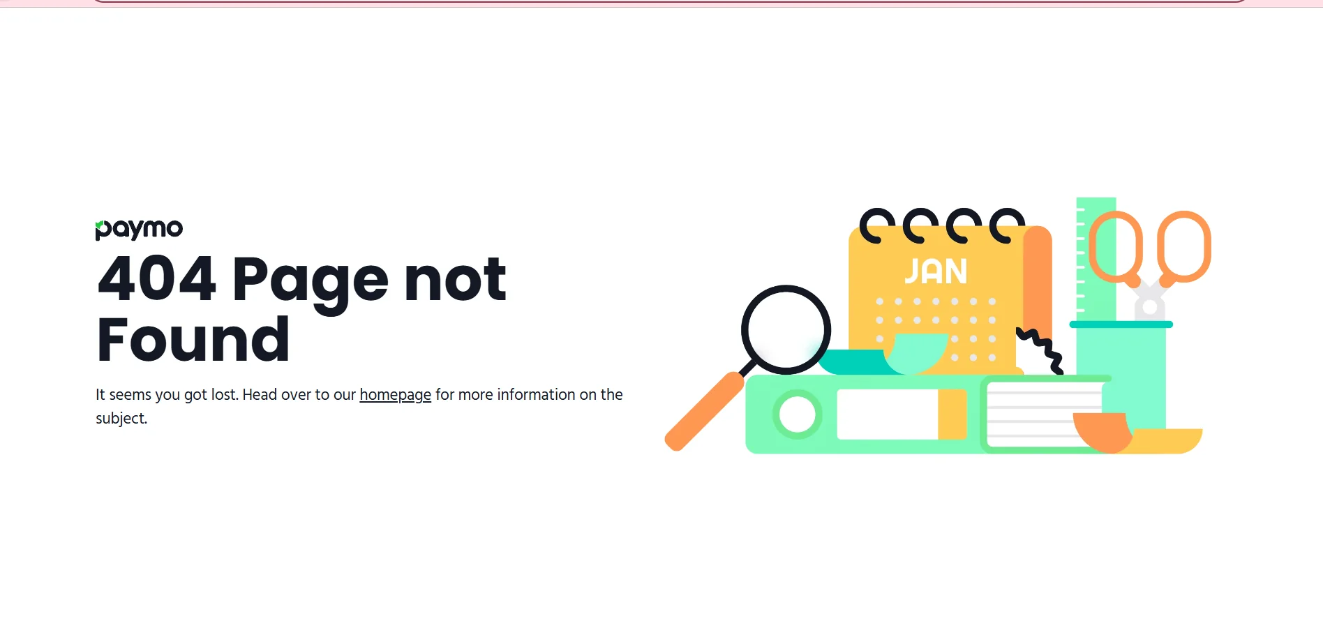 Paymo Reports