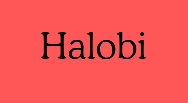 Halo BI