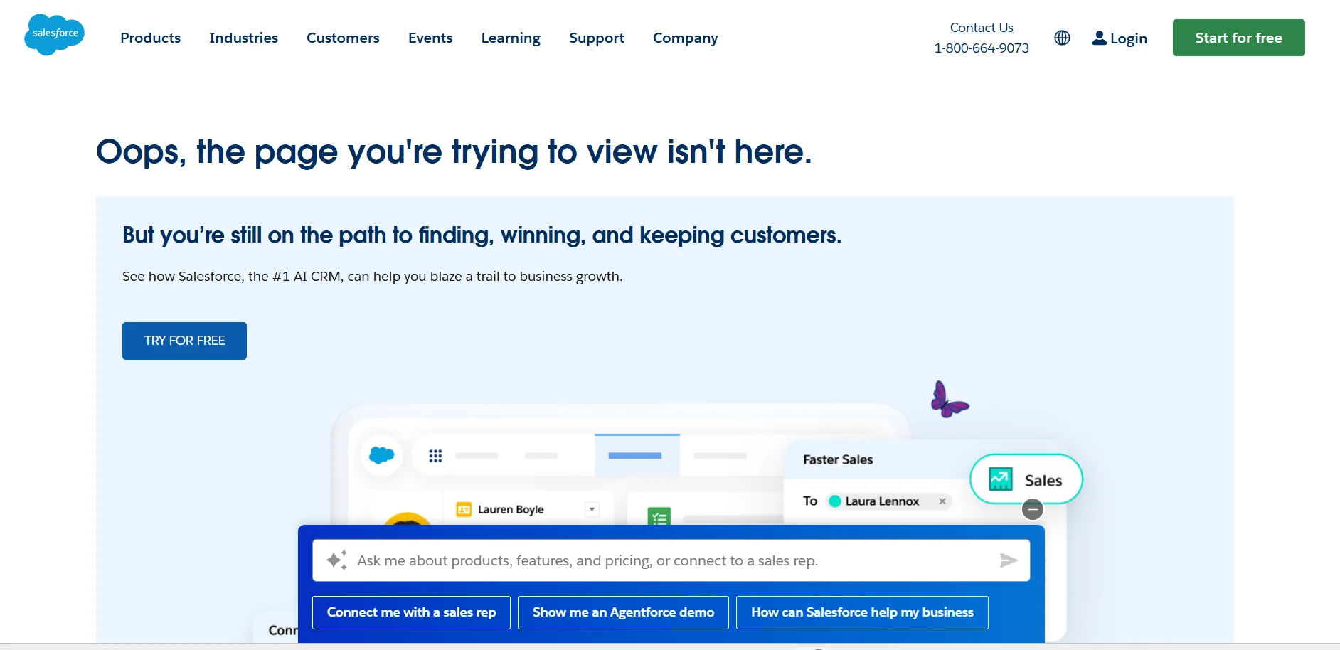 Salesforce Analytics Cloud