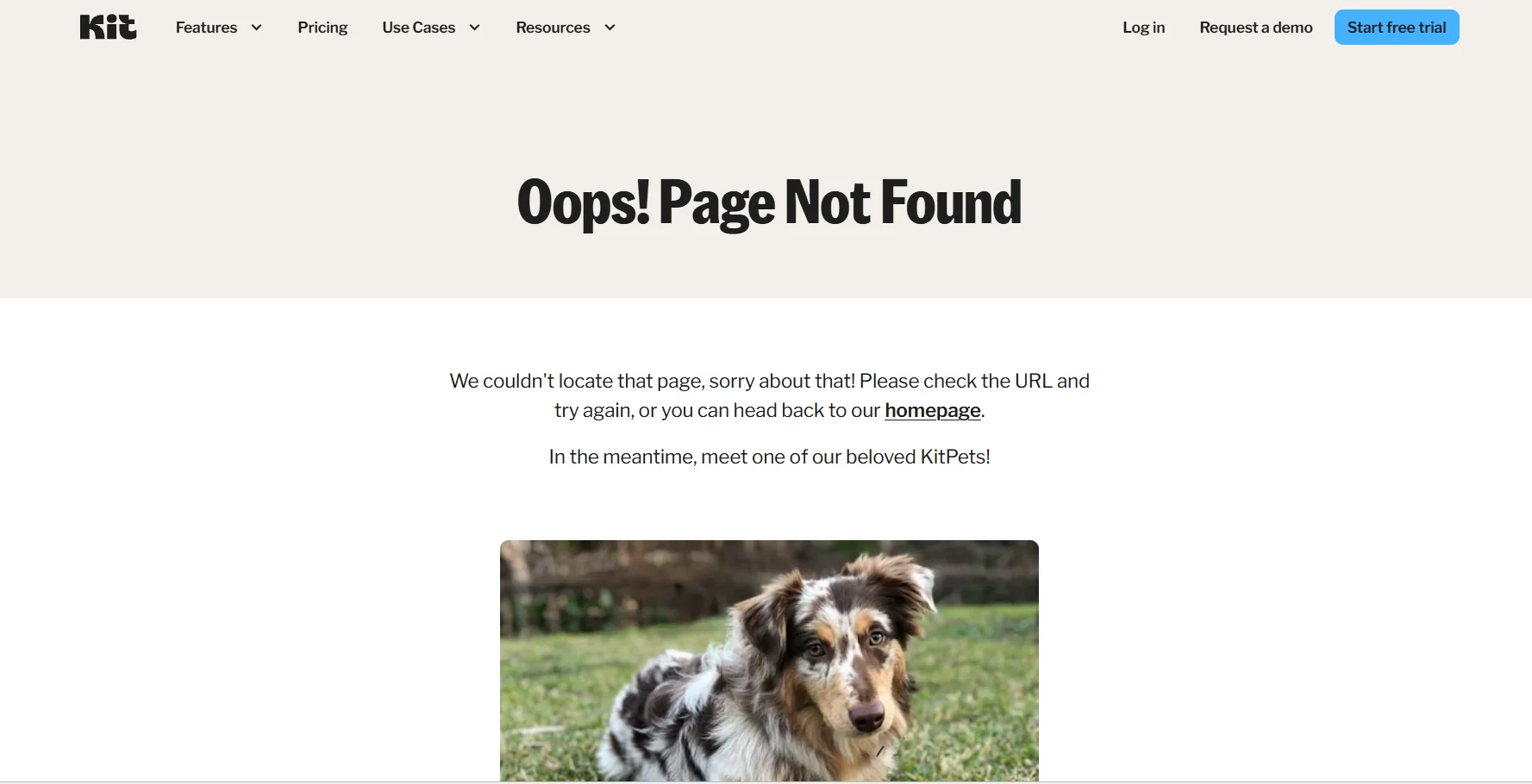 Kit.com Analytics