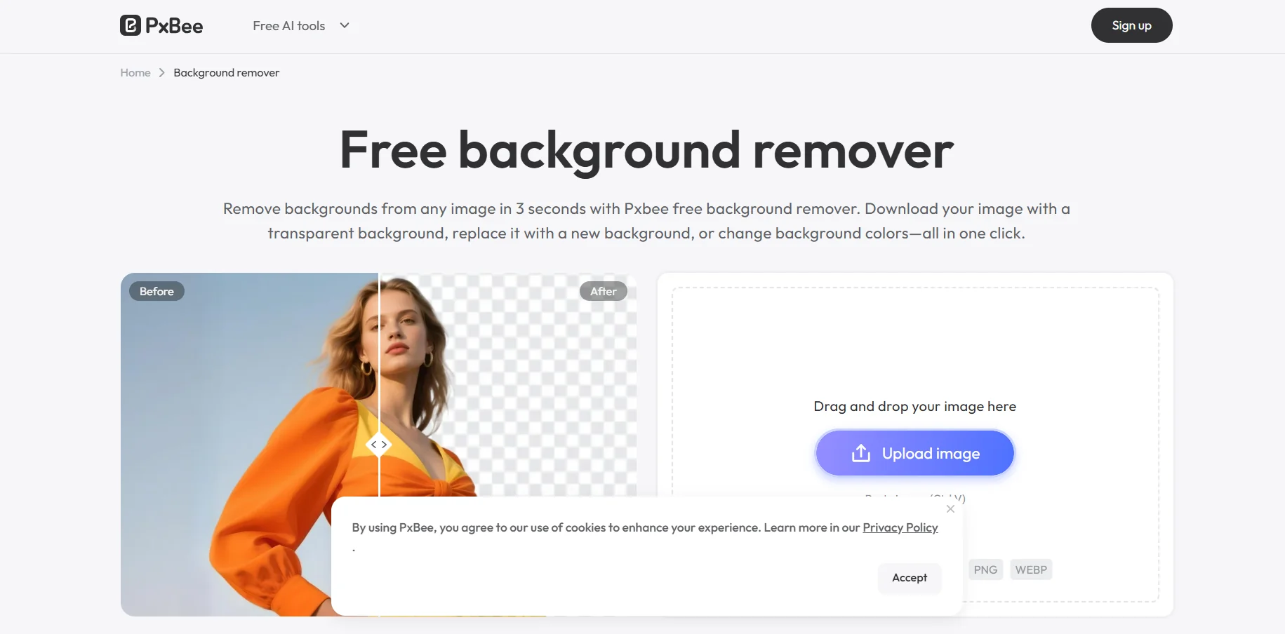 PxBee Background Remover